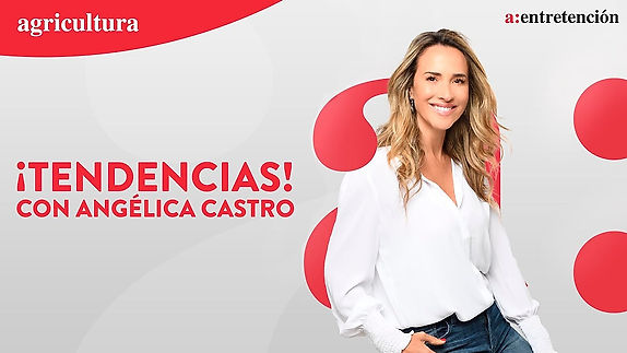 Entrevista con Angélica Castro (1a pt)